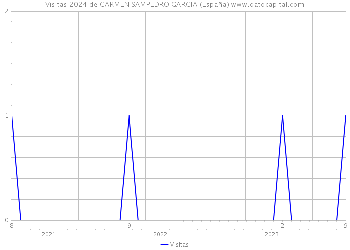 Visitas 2024 de CARMEN SAMPEDRO GARCIA (España) 