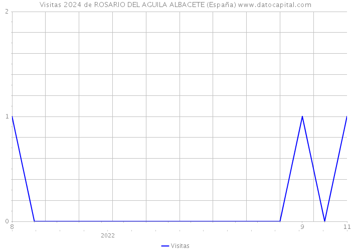 Visitas 2024 de ROSARIO DEL AGUILA ALBACETE (España) 