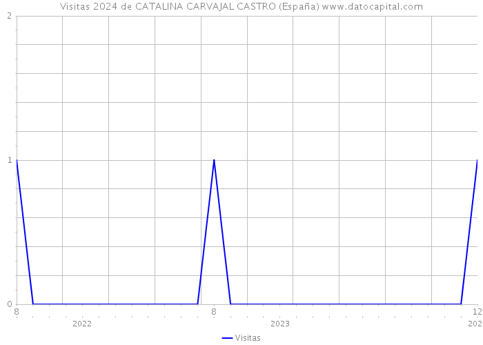Visitas 2024 de CATALINA CARVAJAL CASTRO (España) 