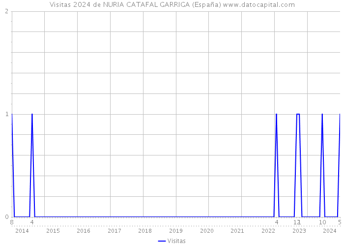 Visitas 2024 de NURIA CATAFAL GARRIGA (España) 