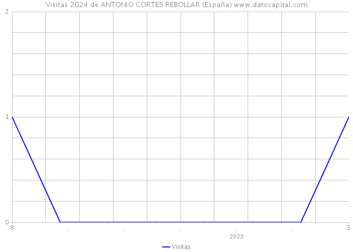 Visitas 2024 de ANTONIO CORTES REBOLLAR (España) 
