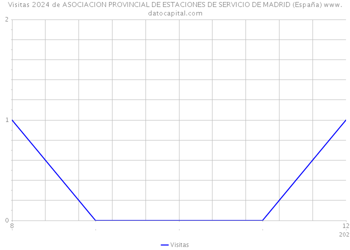Visitas 2024 de ASOCIACION PROVINCIAL DE ESTACIONES DE SERVICIO DE MADRID (España) 