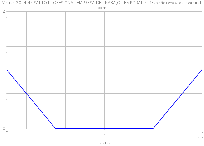 Visitas 2024 de SALTO PROFESIONAL EMPRESA DE TRABAJO TEMPORAL SL (España) 