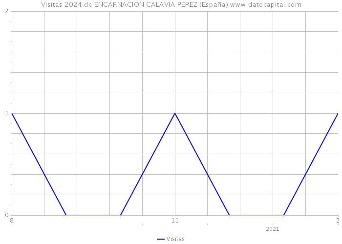 Visitas 2024 de ENCARNACION CALAVIA PEREZ (España) 