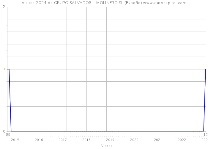 Visitas 2024 de GRUPO SALVADOR - MOLINERO SL (España) 