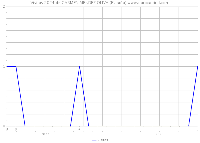 Visitas 2024 de CARMEN MENDEZ OLIVA (España) 