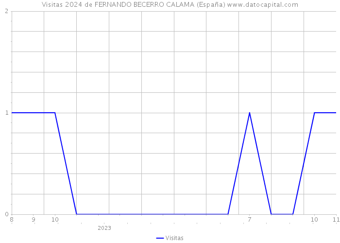Visitas 2024 de FERNANDO BECERRO CALAMA (España) 