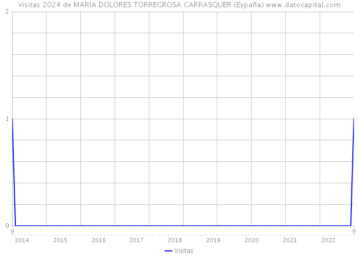 Visitas 2024 de MARIA DOLORES TORREGROSA CARRASQUER (España) 