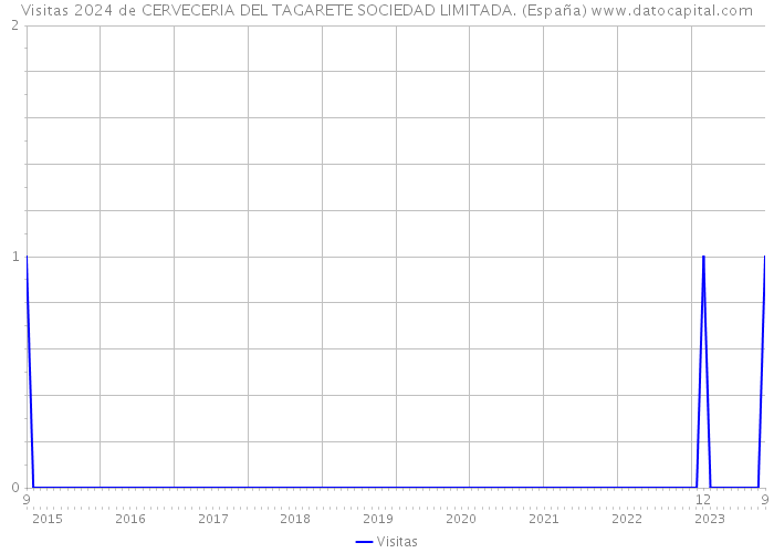 Visitas 2024 de CERVECERIA DEL TAGARETE SOCIEDAD LIMITADA. (España) 