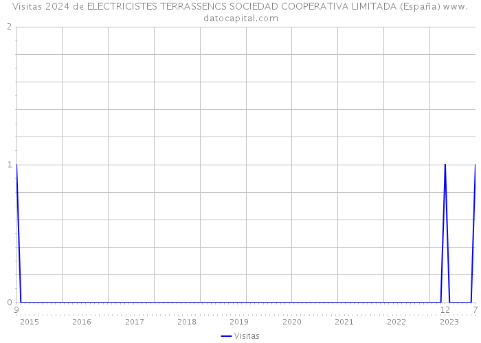 Visitas 2024 de ELECTRICISTES TERRASSENCS SOCIEDAD COOPERATIVA LIMITADA (España) 