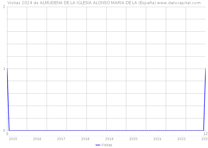 Visitas 2024 de ALMUDENA DE LA IGLESIA ALONSO MARIA DE LA (España) 