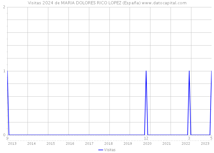 Visitas 2024 de MARIA DOLORES RICO LOPEZ (España) 