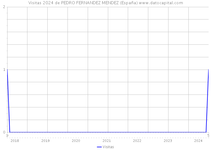 Visitas 2024 de PEDRO FERNANDEZ MENDEZ (España) 