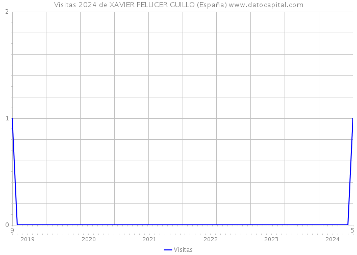 Visitas 2024 de XAVIER PELLICER GUILLO (España) 