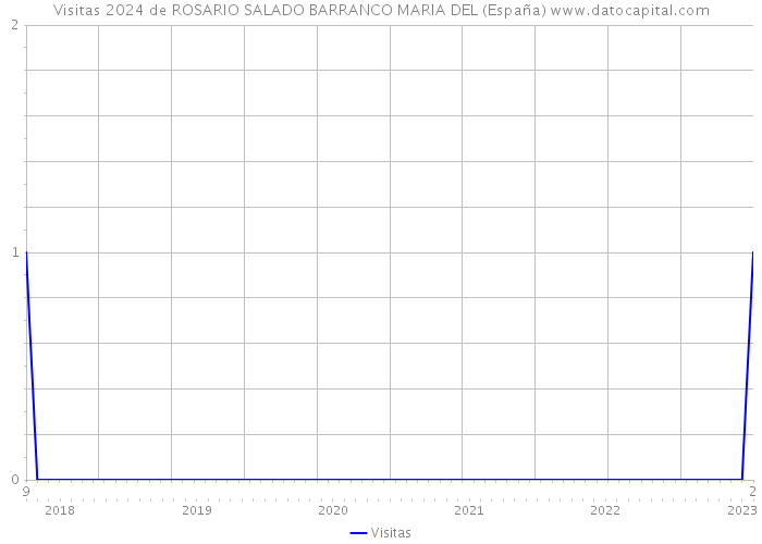 Visitas 2024 de ROSARIO SALADO BARRANCO MARIA DEL (España) 