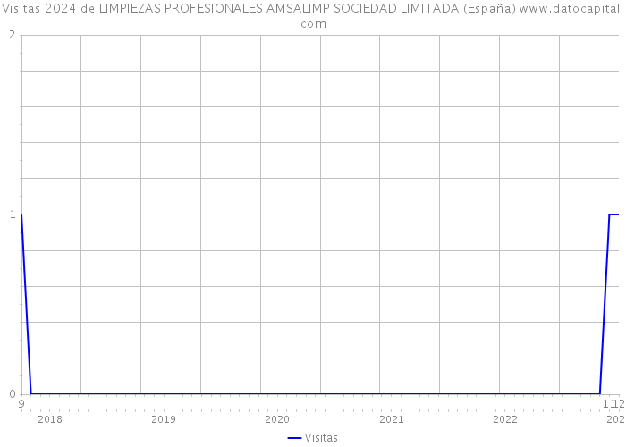 Visitas 2024 de LIMPIEZAS PROFESIONALES AMSALIMP SOCIEDAD LIMITADA (España) 