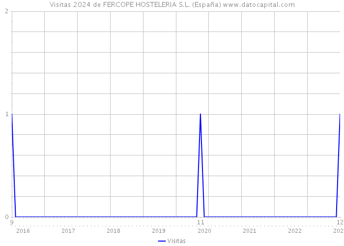 Visitas 2024 de FERCOPE HOSTELERIA S.L. (España) 