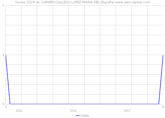 Visitas 2024 de CARMEN GALLEGO LOPEZ MARIA DEL (España) 