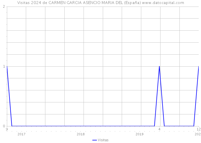 Visitas 2024 de CARMEN GARCIA ASENCIO MARIA DEL (España) 