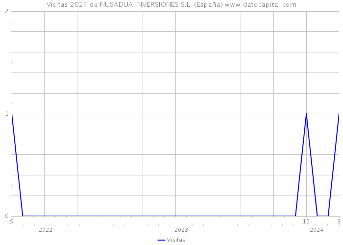 Visitas 2024 de NUSADUA INVERSIONES S.L. (España) 