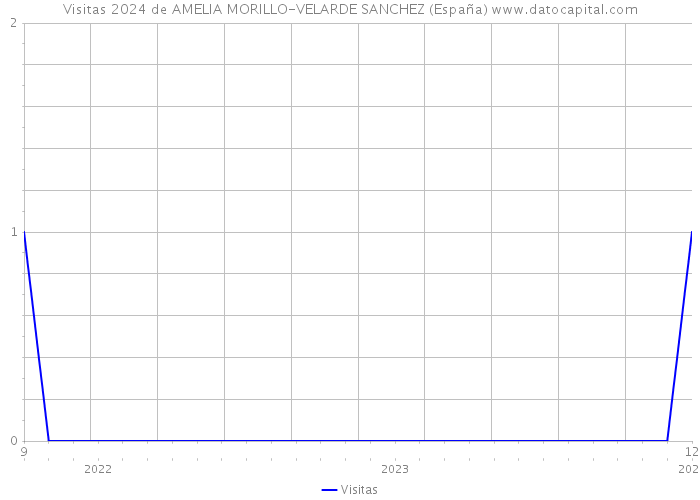 Visitas 2024 de AMELIA MORILLO-VELARDE SANCHEZ (España) 