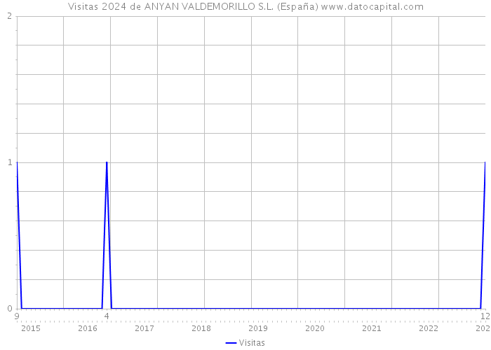 Visitas 2024 de ANYAN VALDEMORILLO S.L. (España) 