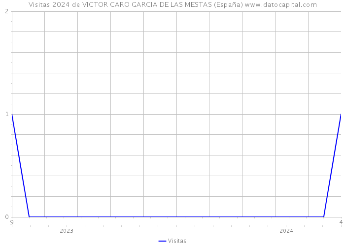 Visitas 2024 de VICTOR CARO GARCIA DE LAS MESTAS (España) 