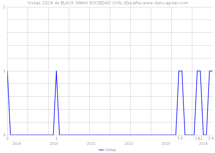 Visitas 2024 de BLACK SWAN SOCIEDAD CIVIL (España) 