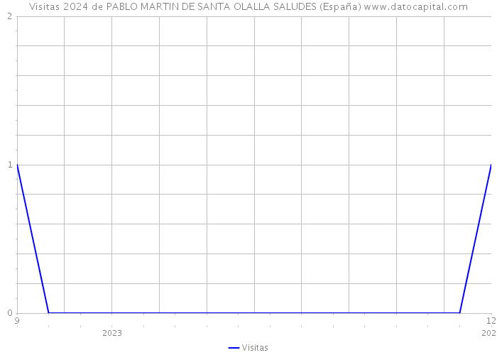 Visitas 2024 de PABLO MARTIN DE SANTA OLALLA SALUDES (España) 