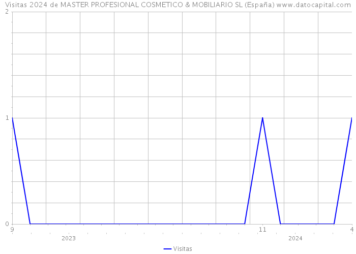 Visitas 2024 de MASTER PROFESIONAL COSMETICO & MOBILIARIO SL (España) 