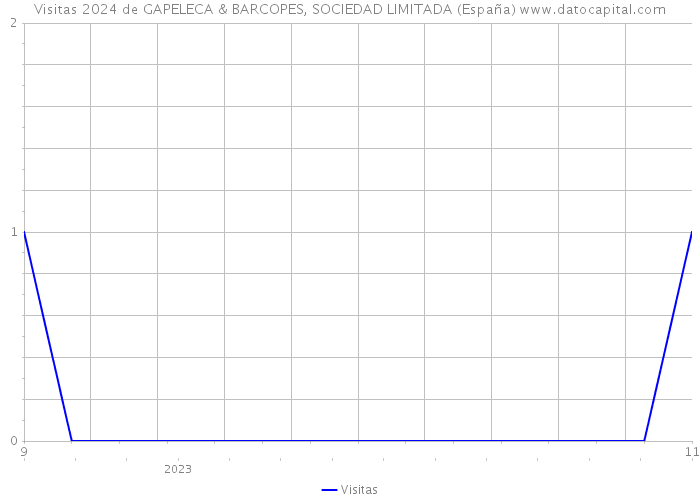 Visitas 2024 de GAPELECA & BARCOPES, SOCIEDAD LIMITADA (España) 