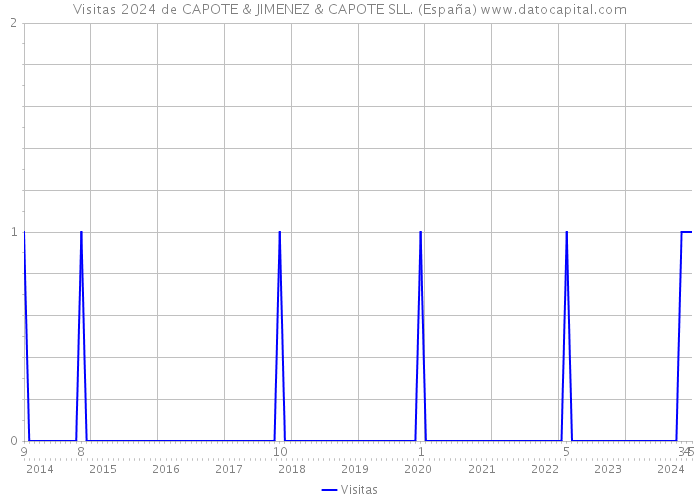 Visitas 2024 de CAPOTE & JIMENEZ & CAPOTE SLL. (España) 