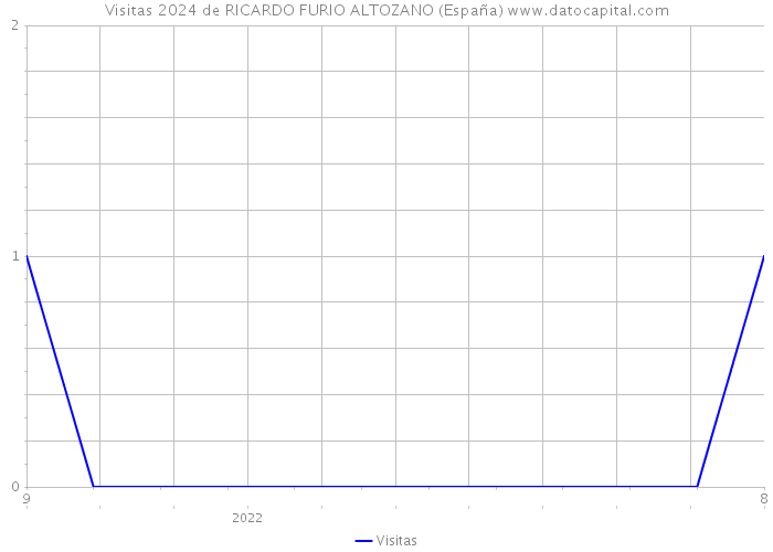 Visitas 2024 de RICARDO FURIO ALTOZANO (España) 