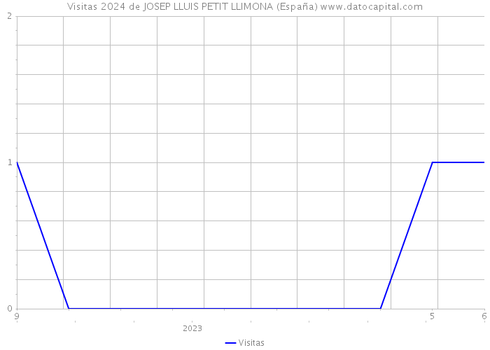 Visitas 2024 de JOSEP LLUIS PETIT LLIMONA (España) 