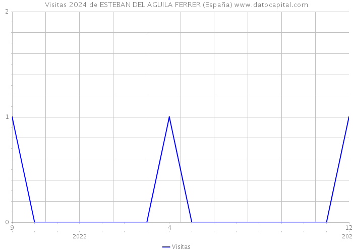 Visitas 2024 de ESTEBAN DEL AGUILA FERRER (España) 