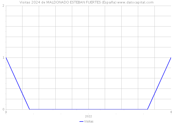 Visitas 2024 de MALDONADO ESTEBAN FUERTES (España) 