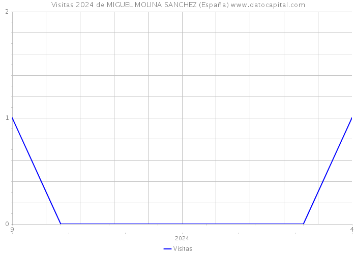 Visitas 2024 de MIGUEL MOLINA SANCHEZ (España) 