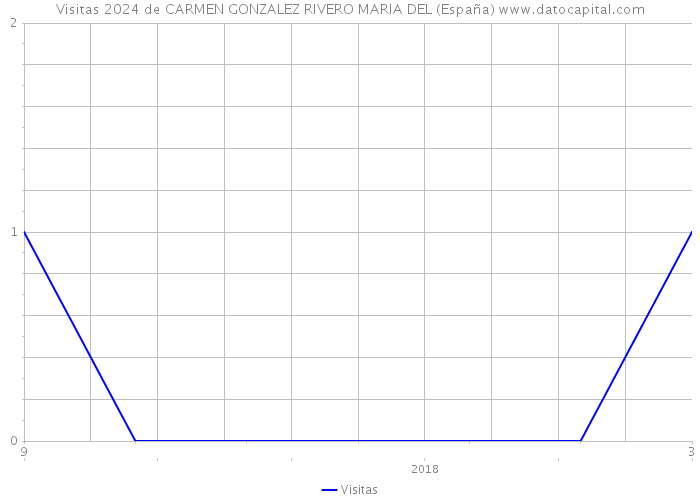 Visitas 2024 de CARMEN GONZALEZ RIVERO MARIA DEL (España) 