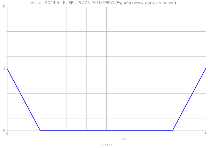 Visitas 2024 de RUBEN PLAZA PANADERO (España) 