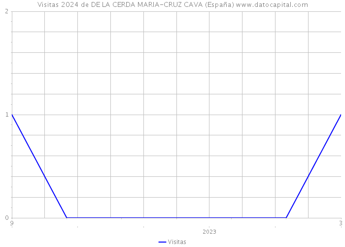 Visitas 2024 de DE LA CERDA MARIA-CRUZ CAVA (España) 