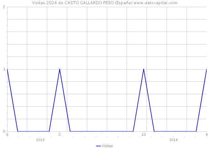 Visitas 2024 de CASTO GALLARDO PESO (España) 