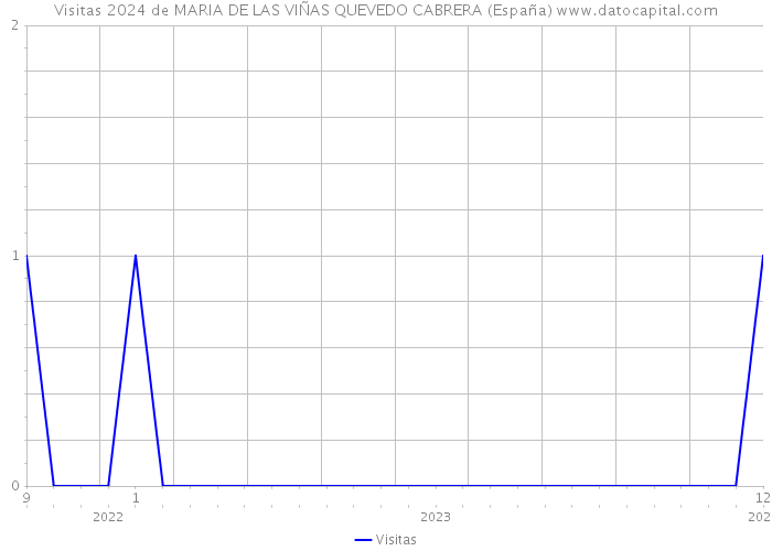 Visitas 2024 de MARIA DE LAS VIÑAS QUEVEDO CABRERA (España) 