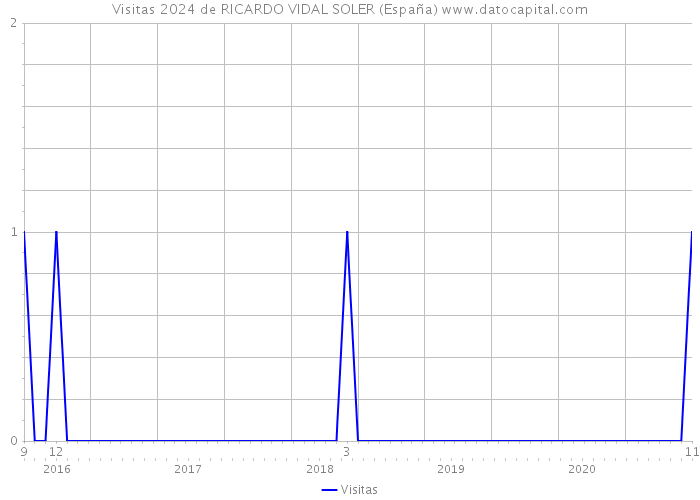 Visitas 2024 de RICARDO VIDAL SOLER (España) 