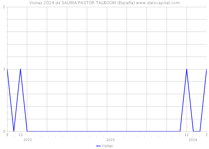 Visitas 2024 de SALIMA PASTOR TALBOOM (España) 