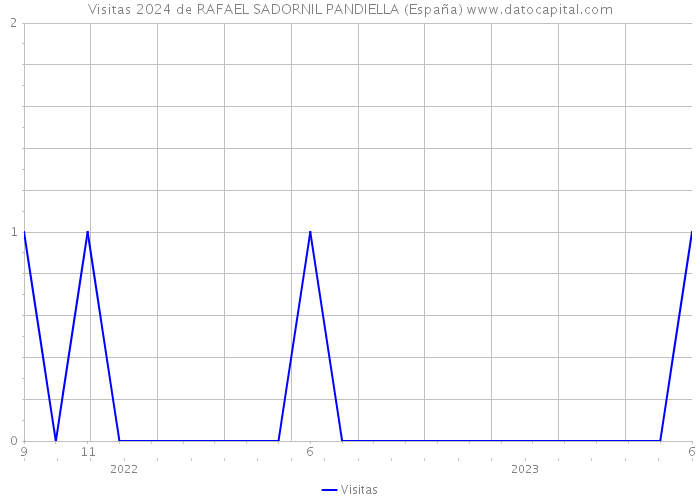 Visitas 2024 de RAFAEL SADORNIL PANDIELLA (España) 