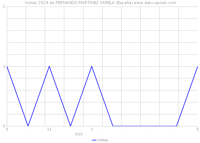 Visitas 2024 de FERNANDO MARTINEZ VARELA (España) 