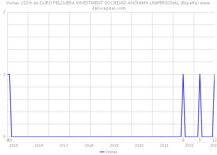 Visitas 2024 de DURO FELGUERA INVESTMENT SOCIEDAD ANÓNIMA UNIPERSONAL (España) 