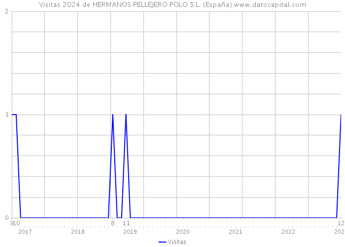 Visitas 2024 de HERMANOS PELLEJERO POLO S.L. (España) 