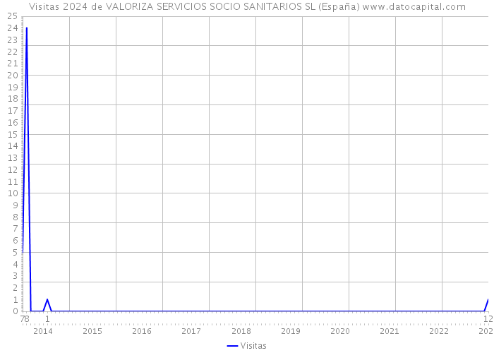 Visitas 2024 de VALORIZA SERVICIOS SOCIO SANITARIOS SL (España) 