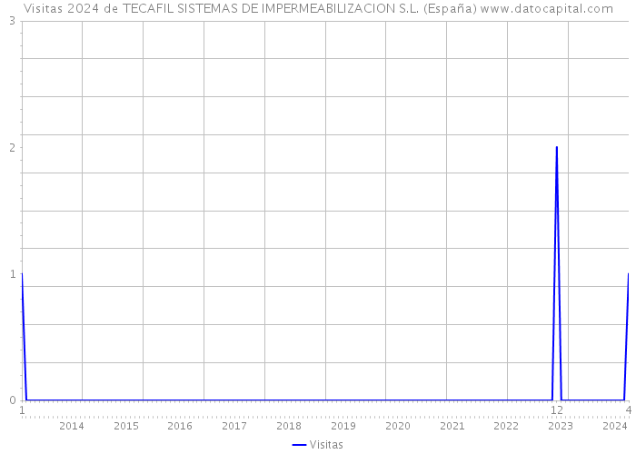 Visitas 2024 de TECAFIL SISTEMAS DE IMPERMEABILIZACION S.L. (España) 